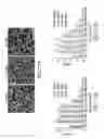 Fig. 15 - IGF-1 proteins and therapeutic uses thereof