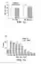 Fig. 19 - IGF-1 proteins and therapeutic uses thereof