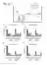 Fig. 12 - Combination for treating an inflammatory disorder