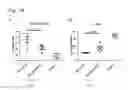 Fig. 16 - Combination for treating an inflammatory disorder
