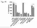 Fig. 18 - Combination for treating an inflammatory disorder