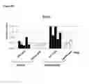 Fig. 08 - Vaccination by means of recombinant yeast by producing a protective humoral immune response against defined antigens