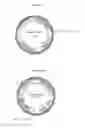 Fig. 03 - Mutant strains of and uses thereof