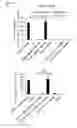 Fig. 09 - CDCA1 epitope peptides for Th1 cells and vaccines containing the same