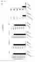 Fig. 10 - CDCA1 epitope peptides for Th1 cells and vaccines containing the same