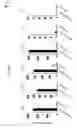 Fig. 11 - CDCA1 epitope peptides for Th1 cells and vaccines containing the same