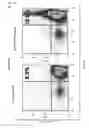 Fig. 16 - CDCA1 epitope peptides for Th1 cells and vaccines containing the same