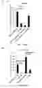 Fig. 19 - CDCA1 epitope peptides for Th1 cells and vaccines containing the same