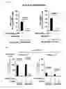 Fig. 20 - CDCA1 epitope peptides for Th1 cells and vaccines containing the same