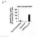 Fig. 35 - CDCA1 epitope peptides for Th1 cells and vaccines containing the same