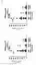 Fig. 44 - CDCA1 epitope peptides for Th1 cells and vaccines containing the same