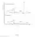 Fig. 09 - Arterivirus protein and expression mechanisms