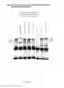 Fig. 16 - Arterivirus protein and expression mechanisms