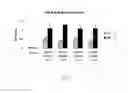 Fig. 03 - Vaccine vectors and methods of enhancing immune responses