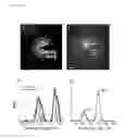 Fig. 03 - METHODS OF USING CEO2 AND TIO2 NANOPARTICLES IN MODULATION OF THE IMMUNE SYSTEM