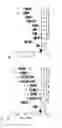 Fig. 09 - METHODS OF USING CEO2 AND TIO2 NANOPARTICLES IN MODULATION OF THE IMMUNE SYSTEM
