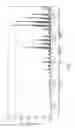 Fig. 02 - Inhalable medicament