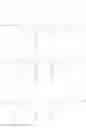 Fig. 41 - Transfection reagents