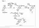 Fig. 08 - Methods for arranging and packing nucleic acids for unusual resistance to nucleases and targeted delivery for gene therapy