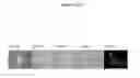 Fig. 04 - Bladder cancer specific ligand peptides
