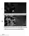 Fig. 09 - Targeting multiple receptors on a cell surface for specific cell targeting