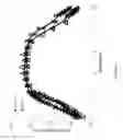 Fig. 10 - Spatial control of additives by high temperature