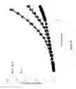 Fig. 31 - Spatial control of additives by high temperature