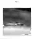 Fig. 07 - Method for Producing a Dispersion Containing Silver Nanoparticles and Use of a Mixture Containing Silver Nanoparticles as a Coating Agent