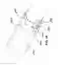 Fig. 20 - Methods and devices for autoflush syringes