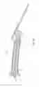 Fig. 02 - MANUALLY POSITIONED ARMATURE SYSTEM AND METHOD OF USE