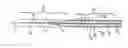 Fig. 01 - MR-Capable or RF-Capable Medical Guide Wire