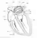 Fig. 01 - Medical device including manipulable portion with connected elongate members
