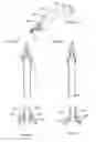 Fig. 12 - Fluid Transfer Devices