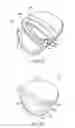 Fig. 12 - Golf club head with flexure