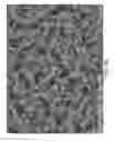 Fig. 06 - Asymmetric membranes