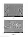 Fig. 02 - REVERSE OSMOSIS MEMBRANE