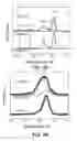 Fig. 05 - NANOSTRUCTURES HAVING CRYSTALLINE AND AMORPHOUS PHASES