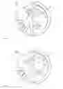 Fig. 05 - Device for analysing a chemical or biological sample