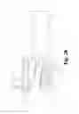 Fig. 22 - HOSE END SPRAYER