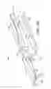 Fig. 04 - System for shoe sole portion painting