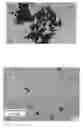 Fig. 01 - METHOD OF PREPARING SILICA-COATED NANODIAMONDS