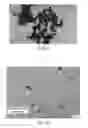 Fig. 02 - METHOD OF PREPARING SILICA-COATED NANODIAMONDS