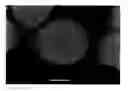 Fig. 01 - Method for producing a metal particle