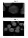 Fig. 02 - Method for producing a metal particle