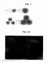 Fig. 06 - Method for producing a metal particle