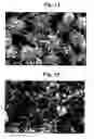 Fig. 08 - Method for producing a metal particle