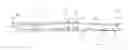 Fig. 01 - Saw Blade Having Compound Angled Tips