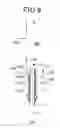Fig. 10 - Machining apparatus
