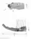 Fig. 08 - Multilayer electrolaminate braking system
