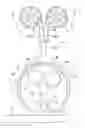 Fig. 01 - Device for producing absorbent body